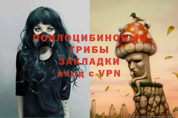 spice Бугульма